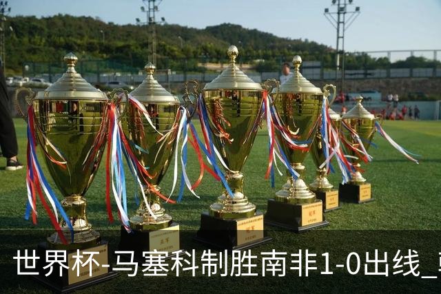 世界杯-马塞科制胜南非1-0出线 韩国积3分获小组第三待定
