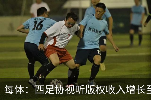 每体：西足协视听版权收入增长至1.173亿欧元 赞助也达8070万欧元